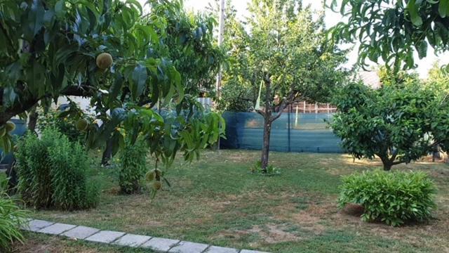 Ilona Apartmanok Balatonboglár 外观 照片